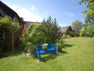 Foto Gartenbereich mit blauer Holzbank